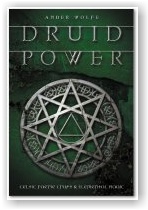 Amber Wolfe: Druid Power