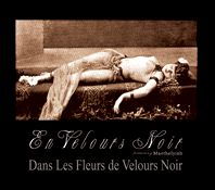 EN VELOURS NOIR/MAETHELYIAH: Dans Les Fleurs de Velours Noir ltd.