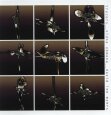 VIDNA OBMANA/DAVID LEE MYERS | Tracers (CD)