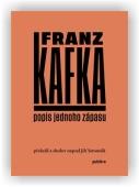 Franz Kafka: Popis jednoho zápasu