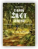 Wohlleben Peter: Tajný život stromů - Co cítí, jak komunikují