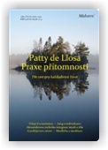 de Llosa Patty: Praxe přítomnosti