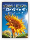 Herbs & Plants Lenormand Oracle Cards (instrukce + karty)