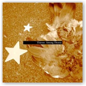 Nick Grey: Thieves Among Thorns (CD)