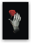 ROSE HAND JOURNAL (Diář Ruka s růží)