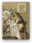 CAT FAMILY JOURNAL (Diář Kočičí rodinka)