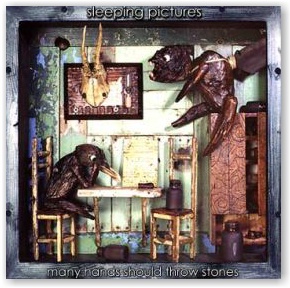 SLEEPING PICTURES: Many Hands Should Throw Stones (CD)