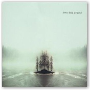 Forrest Fang: Gongland (CD)