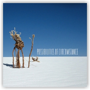Various Artists: Possibilities of Circumstance (CD)