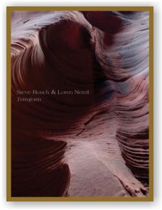 Steve Roach, Loren Nerell: Terraform (CD)