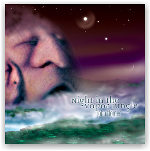 John Flomer: Night In The Vapor Jungle (CD)