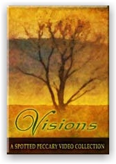 Visions (DVD)